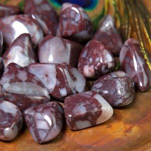 (2) Tumbled Cataclasite Stones